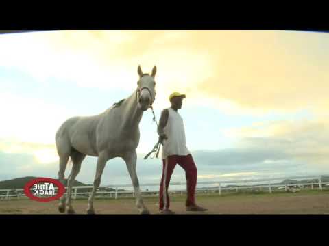 Coolmore Home of Champions Stakes & More! | At the Track | Feb 4, 2016