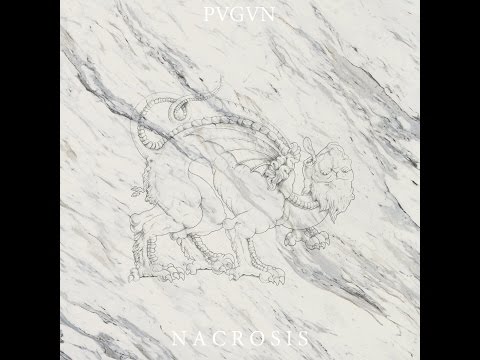 PVGVN - N A C R O S I S - Full EP