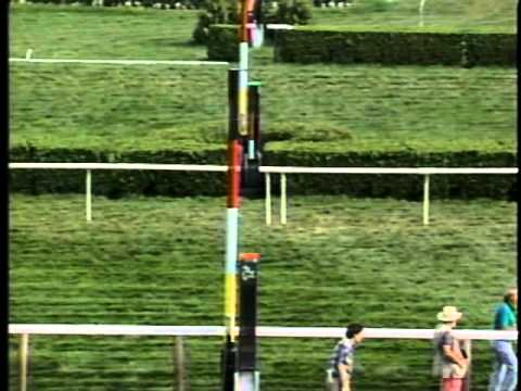 Lure - Bernard Baruch - Saratoga Race Course 08/12/1994