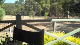 preview picture of video 'Margaret House Cottage - Margaret River Accommodation - Pet Friendly'
