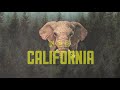 O.A.R. | California | Lyric Video - The Mighty