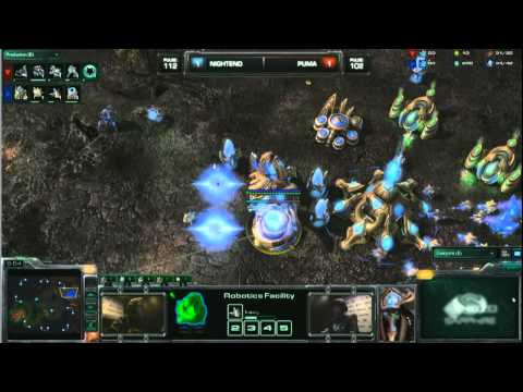 NightEnD (P) vs PuMa (T) G3 Dreamhack Winter Semifinals