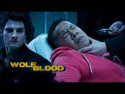 Protocol 5 | Season 4 Short Episode 12 | Wolfblood