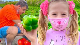 Download lagu Nastya dan ayah memetik sayuran dan memberi makan hewan ternak | Kompilasi video untuk anak-anak mp3 Download lagu Nastya dan ayah memetik sayuran dan memberi makan hewan ternak | Kompilasi video untuk anak-anak mp3