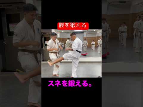 極真会‼️スネを鍛えろ‼️ #karate #空手 #kyokushin #格闘技