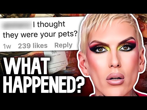 Le Beauty YouTuber accusé d'avoir abattu ses propres animaux de compagnie (Jeffree Star s'exprime)