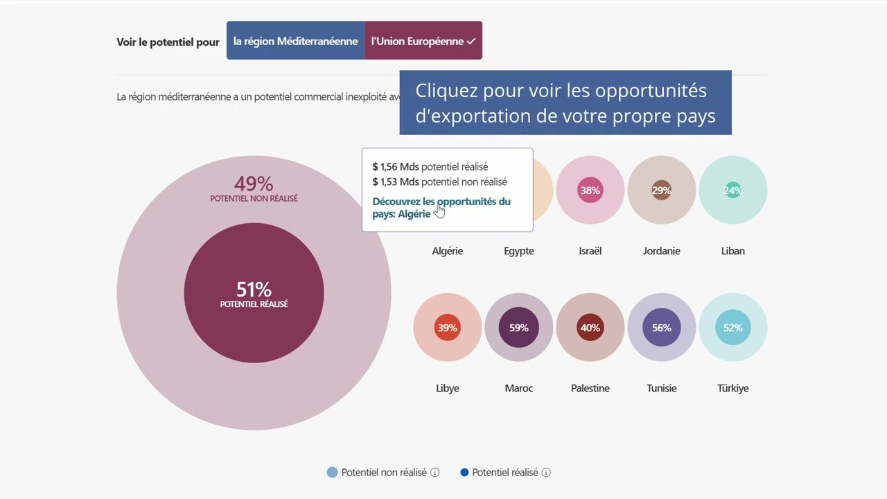 Commencez votre parcours : explorez la page d’accueil d’Euromed Trade Helpdesk en quelques minutes
