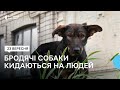 thumbnail text