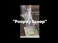 "Poopity Scoop" "Poopity Scoop"