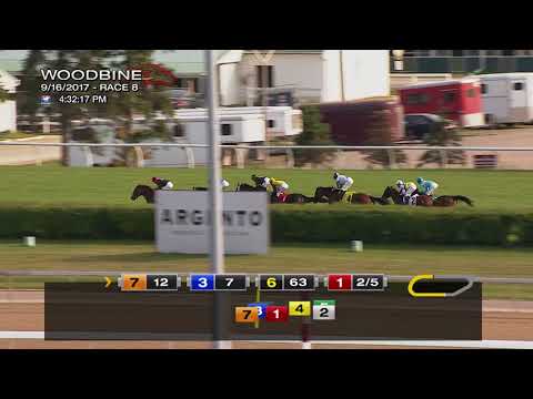 Woodbine, Tbred, September 16, 2017 Race 8
