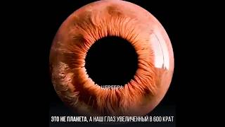 Download lagu Things under microscope 1000X zoom #microscope #zoom mp3