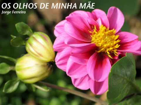 download lagu mp3 mp4 Os Olhos Da Minha Mae, download lagu Os Olhos Da Minha Mae gratis, unduh video klip Os Olhos Da Minha Mae
