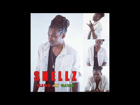 Shellz Mab - Money Network