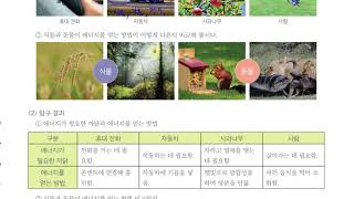 [초등과학 6-2 무료강의] 5. 에너지와 생활 ① 에너지는 왜 필요할까요?