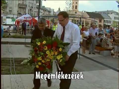 A polgármester tevékenysége A polgármester tevékenysége
