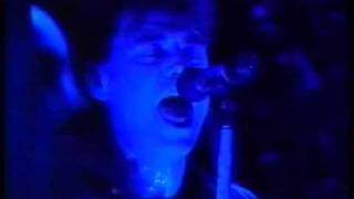 The Angels - Tear Me Apart - Live 1993