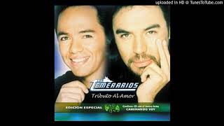 Los Temerarios - Caminando Voy
