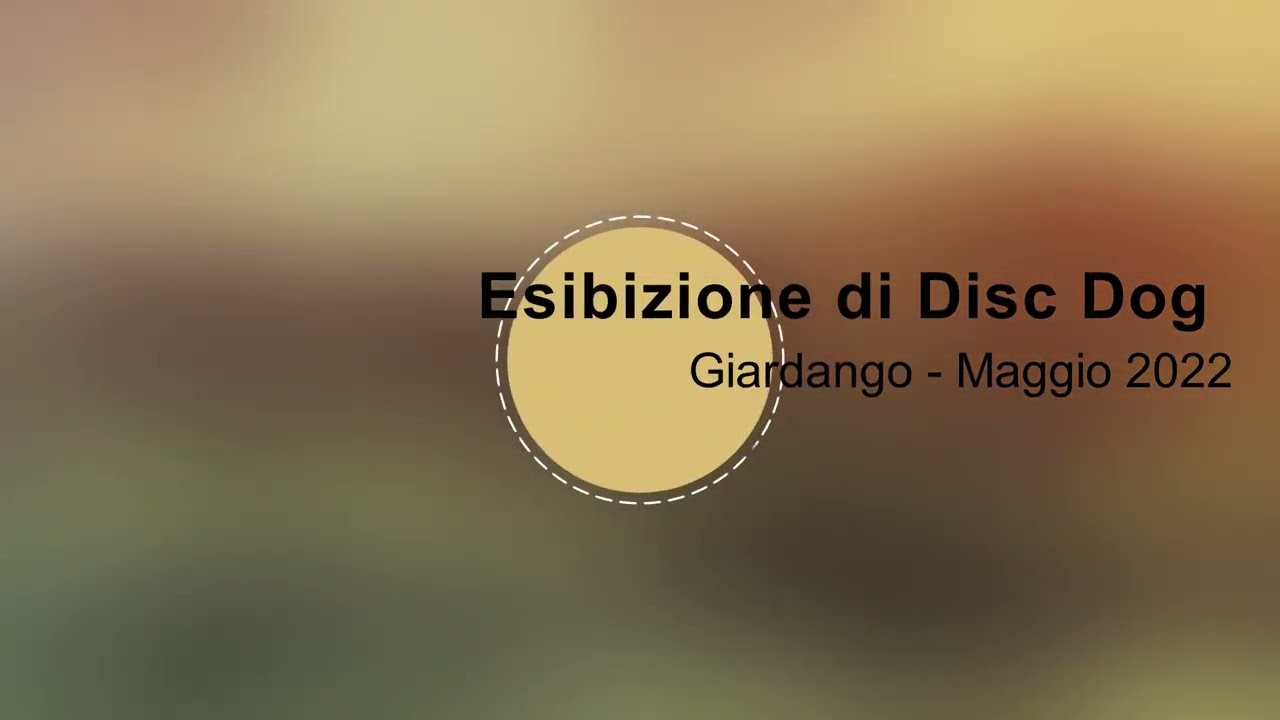 Esibizione di Disc Dog - Giardango 2022