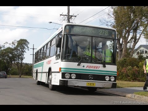 Forest Coach Lines [Terrey Hills] Mercedes-Benz O405 / Custom Coaches 200, m/o 8278
