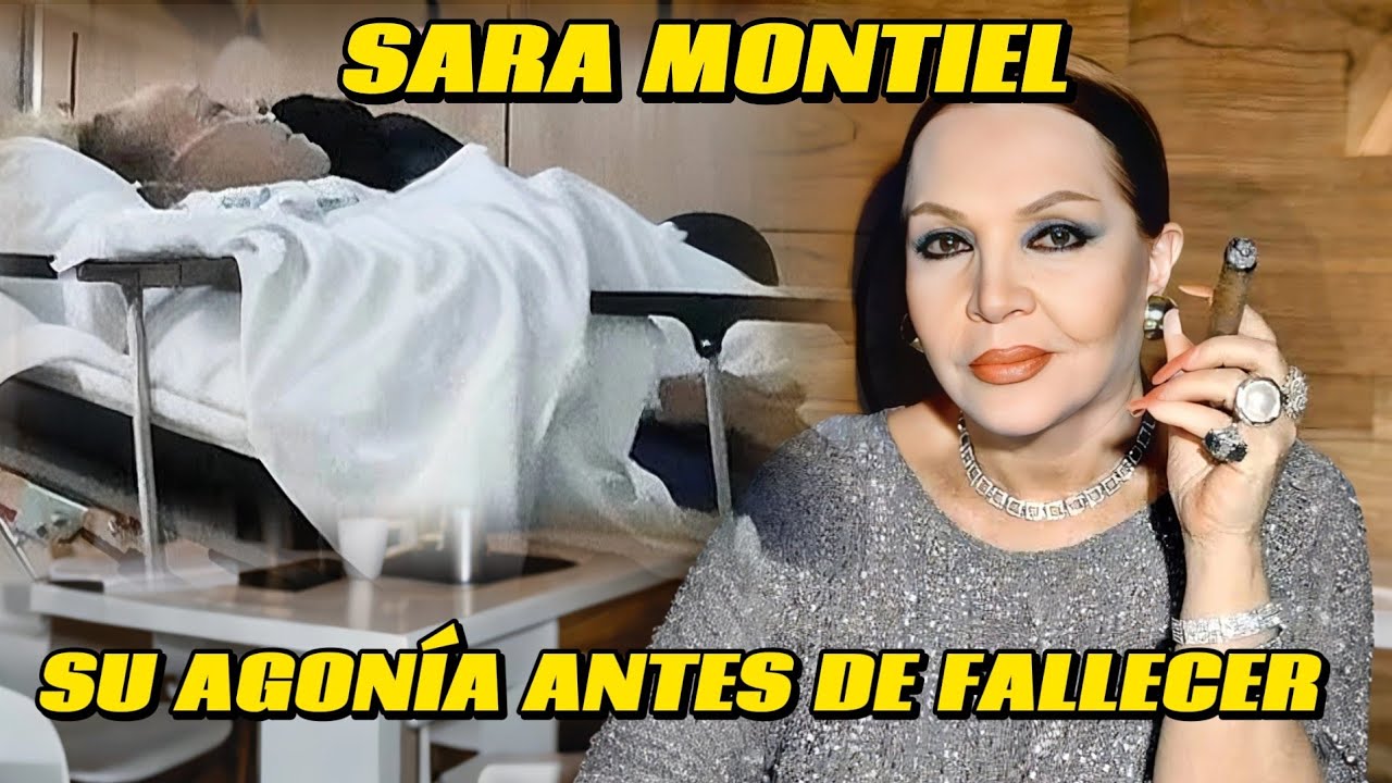 YouTube Thumbnail Downloader FULL HQ IMAGE