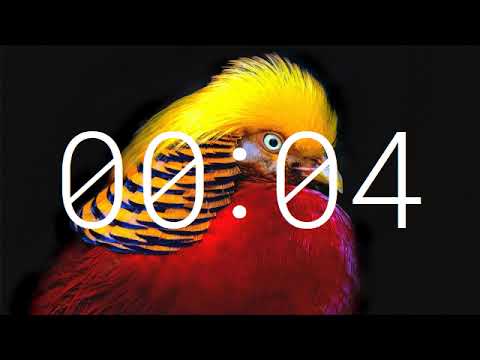 Quincas Moreira (Vol.3) 52min