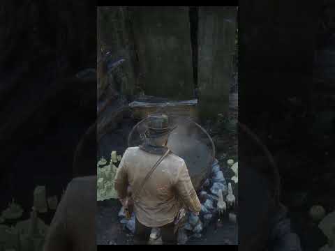 ONLY Way to cure Arthur from Tuberculosis in Red Dead Redemption 2! 😮 #reddeadredemtion2 #rdr2 #fyp