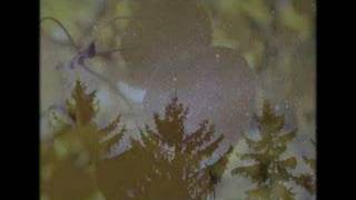 Just A Heartbeat Away (griefHaven)