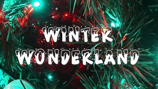 Winter Wonderland - Snopp Dogg and Anna Kendrick (Lyrics)