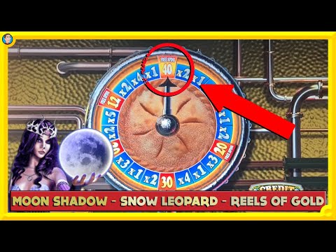 Moon Shadow, Reels of Gold, Snow Leopard and MORE!!