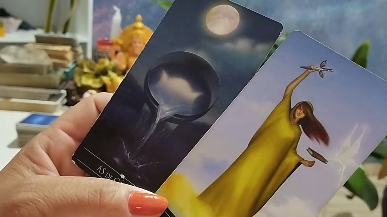 Intuitivas 🦋297  Mostre-me!