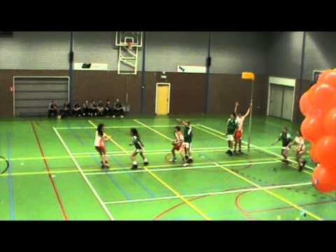 ASVD C1 - Weidevogels C1