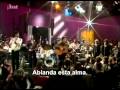 Leonard Cohen - The Window Subtitulado