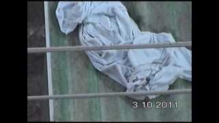 הצלת הכביסה שנפלה מחבל כביסה למטה (ידידנו היקר משה רצון ז"ל) - התמונה מוצגת ישירות מתוך אתר האינטרנט יוטיוב. זכויות היוצרים בתמונה שייכות ליוצרה. קישור קרדיט למקור התוכן נמצא בתוך דף הסרטון