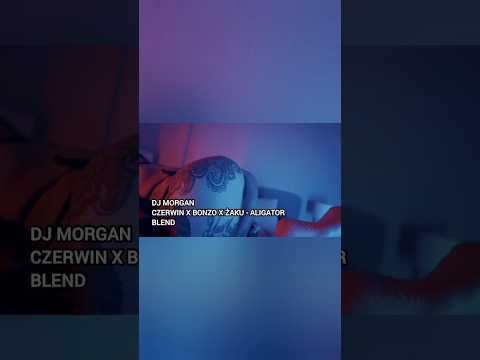 DJ Morgan - Czerwin x Bonzo x Żaku - ALIGATOR Blend