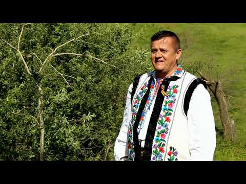 GHEORGHE JITARU -  DE AS PUTEA SA OPRESC TIMPUL ORCHESTRA MUGUREL  DIRIJOR ION DASCAL