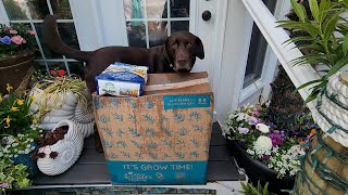 Unboxing Plant Orders & Planting up The Garden || Saturday Vlog