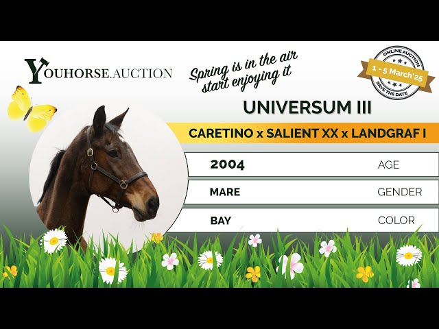 Universum