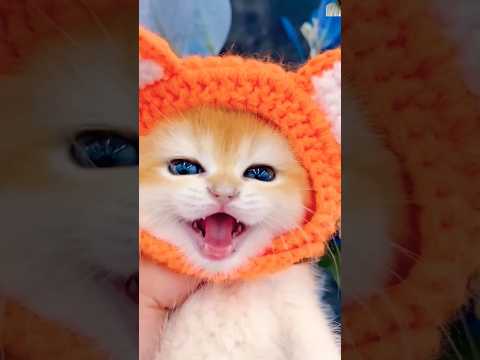 #👻animal cute reaction #funny#8