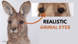 How to Draw Animal Eyes - Kangaroo - Drafting Film - Beginner Coloured Pencil Tutorial #petportrait