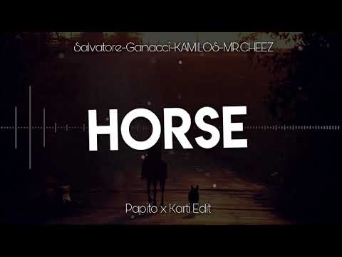 Salvatore Ganacci x KAMILOS & MR.CHEEZ- Horse (Papito x Karti Edit)