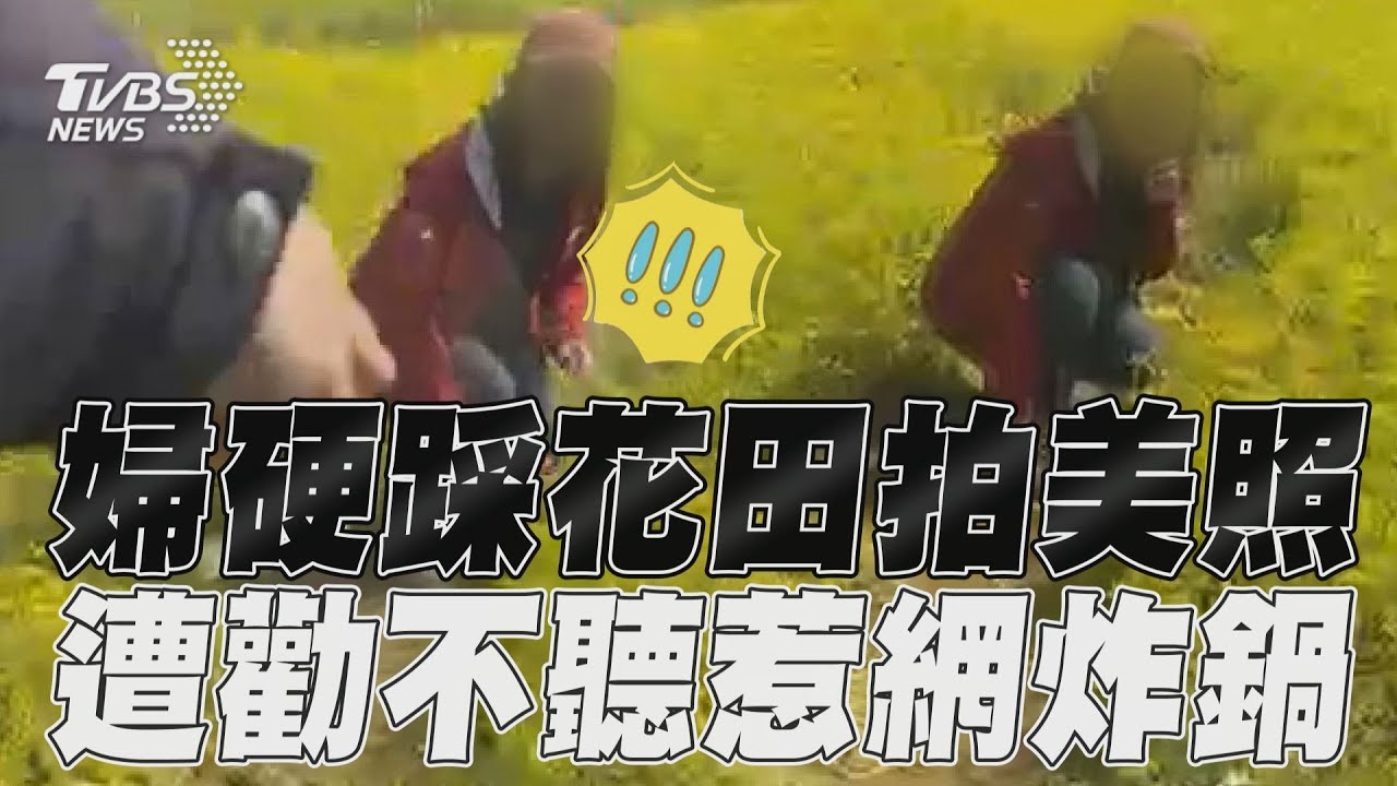 影音/婦踩武陵農場花田拍美照! 現場直播「講不聽」網傻眼