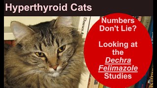 Problems with the Dechra Felimazole Studies: Hyperthyroid Cats Pay the Price