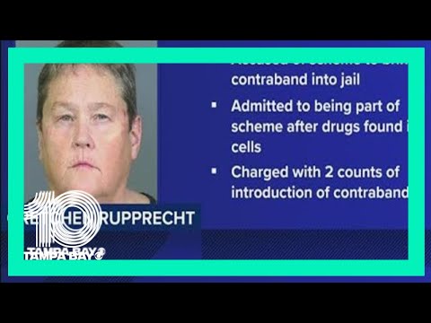 Manatee Sheriff Arrest