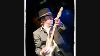 The New Fools Blind Willie Mc Tell