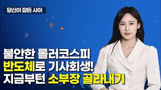 [MTN 당잠사] 불안한 롤러코스피 반도체로 기사회생! 지금부턴 소부장 골라내기 / 머니투데이방송 (증시, …