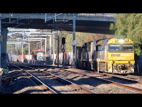 NR97, NR7, NR77 leads 6MP5 through Hawker Street