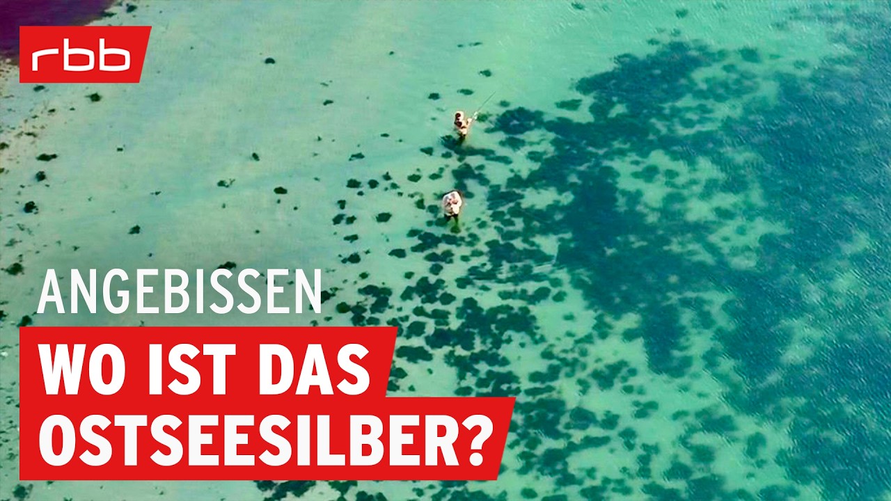 Tipps & Tricks beim Meerforellen-Angeln von Jörg Strehlow | #194 | Angelpodcast