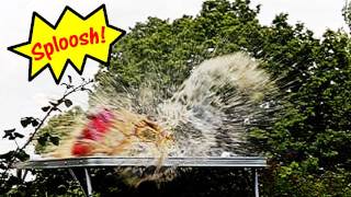 Fieldsports Britain – Exploding Coke cans, foxes, airguns and big cats
