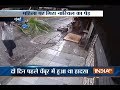 CCTV: Mumbai woman critically injured after coconut tree falls on her
