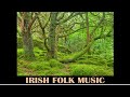 Irish folk music - King of the fairies